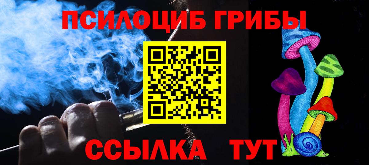 Псилоцибиновые грибы MAGIC MUSHROOMS  купить закладку  Псков  Вход с VPN 